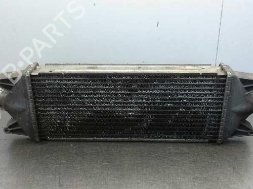 Intercooler IVECO DAILY III Van  | BP2241851M30 