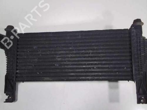 Intercooler NISSAN PATHFINDER III (R51) | BP15681571M30 - Image 2