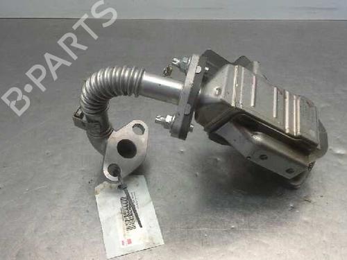 Egr NISSAN JUKE (F15)  | BP14315286M69 