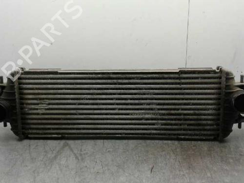 Intercooler NISSAN PRIMASTAR Van (X83) [2002-2025]  1910582