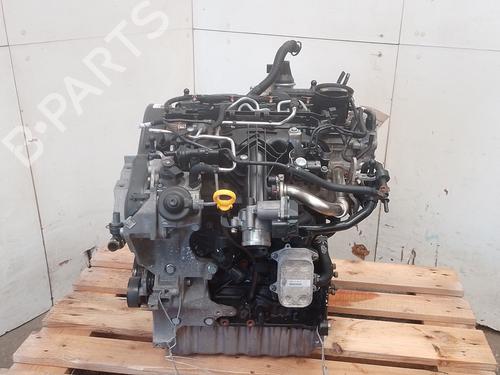 Used Engine Engine SKODA YETI (5L) 2.0 TDI (110 hp) 36074400 36074400