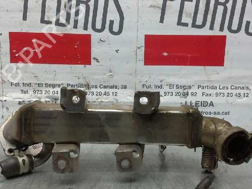 Egr NISSAN QASHQAI / QASHQAI +2 I (J10, NJ10, JJ10E)  | BP14323876M69 