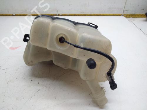 Expansion tank LAND ROVER RANGE ROVER EVOQUE (L538) 2.0 4x4 | BP29305481C120 