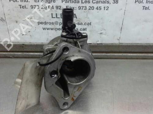 Vacuum pump RENAULT KANGOO (KC0/1_)  | BP1620804M80 