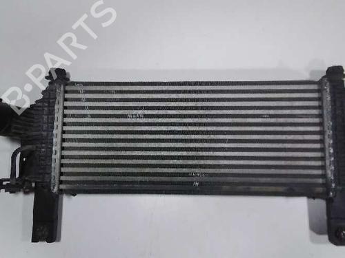 Used Intercooler NISSAN PATHFINDER III (R51) [2005-2025]  15681571