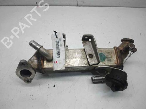 EGR-Ventil NISSAN X-TRAIL II (T31) [2007-2018]  17034226