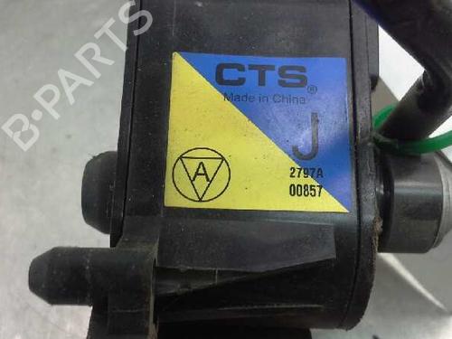 Pedal NISSAN X-TRAIL II (T31)  | BP2843160I4 