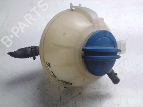 Used Expansion tank SEAT IBIZA IV (6J5, 6P1) [2008-2017]  10009457