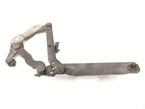 Hinge/Door check strap LAND ROVER RANGE ROVER EVOQUE (L538) 2.0 4x4 | BP29305479C146 