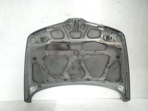 Hood RENAULT LAGUNA I (B56_, 556_)  | BP15819831C1 