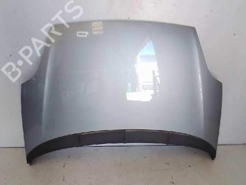 hood-fiat-punto-evo-199_-0051701140-2008-10136634 main image