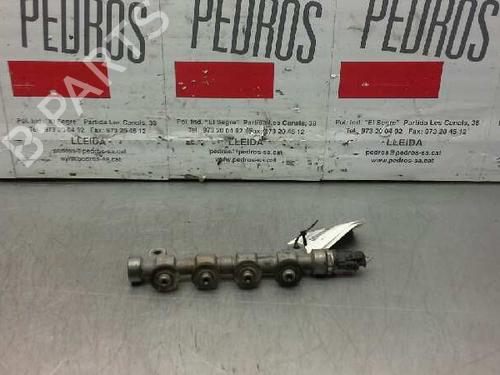 Used Injection rail NISSAN PATHFINDER III (R51) 3.0 dCi (231 hp) 2964202