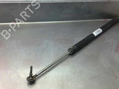 Tailgate lift support CHRYSLER VOYAGER / GRAND VOYAGER III (GS_, NS_) 3.8 | BP14320452C138 