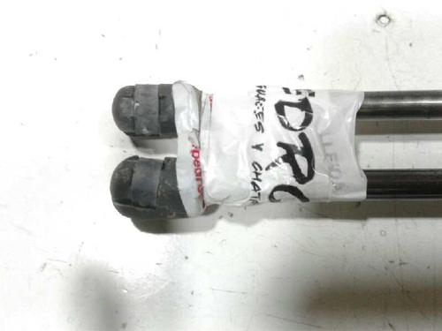 Tailgate lift support SEAT ALHAMBRA (7V8, 7V9)  | BP14316827C138 