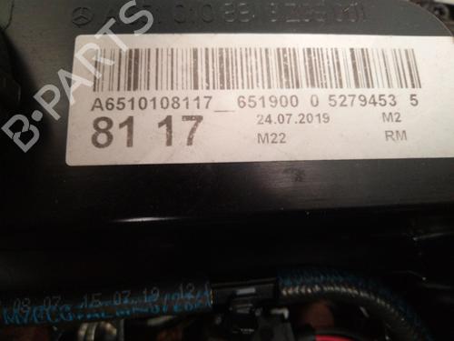 Engine MERCEDES-BENZ SPRINTER 3,5-t Van (B907, B910) 311 CDI (910.631, 910.633) | BP25001710M1 