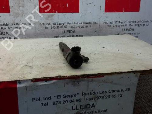 Injector RENAULT MEGANE II (BM0/1_, CM0/1_)  | BP1619648M100 