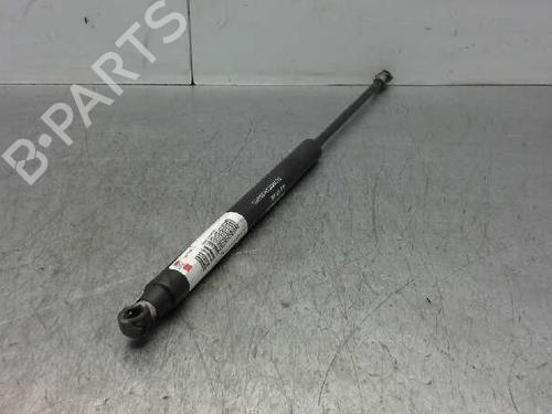 Tailgate lift support FIAT GRANDE PUNTO (199_)  | BP14312686C138 