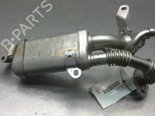 Egr NISSAN QASHQAI / QASHQAI +2 I (J10, NJ10, JJ10E)  | BP14315358M69 