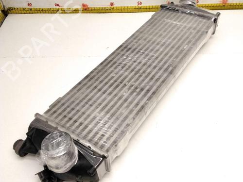 Intercooler NISSAN PRIMASTAR Van (X83) | BP10655847M30 - Image 6