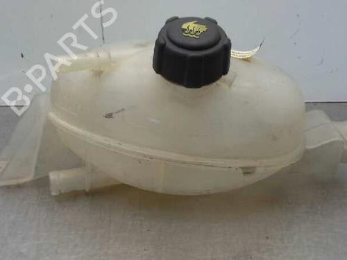 Expansion tank OPEL MOVANO B Van (X62) 2.3 CDTI RWD (FV) | BP1622058C120 