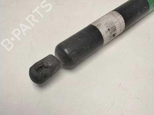 Tailgate lift support MERCEDES-BENZ VITO / MIXTO Van (W639) 111 CDI (639.601, 639.603, 639.605) | BP14323262C138 