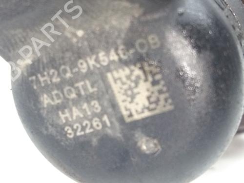 Injector LAND ROVER DISCOVERY III (L319) 2.7 TD 4x4 | BP17650747M100 