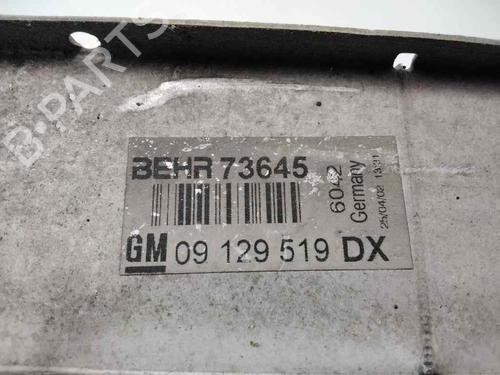 Intercooler OPEL ZAFIRA A MPV (T98)  | BP209837M30 