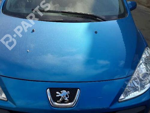 Hood PEUGEOT 307 (3A/C)  | BP101373C1 