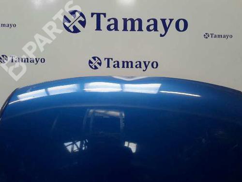 Hood VW TOUAREG (7LA, 7L6, 7L7) 5.0 V10 TDI | BP880269C1 