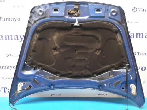 Hood VW TOUAREG (7LA, 7L6, 7L7) 5.0 V10 TDI | BP880269C1 
