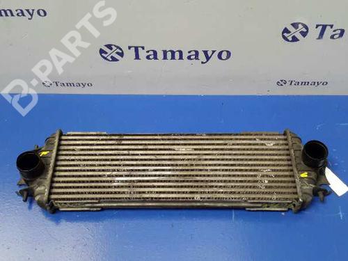 Used Intercooler RENAULT TRAFIC II Van (FL) 1.9 dCi 100 (FL0C) (101 hp) 1415828