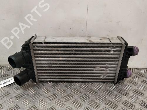 Intercooler Intercooler PEUGEOT 2008 II (UD_, US_, UY_, UJ_, UR_, UC_) 1.2 PureTech 100 (USHNK) (101 hp) 37604136 37604136