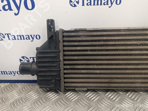 Intercooler NISSAN MICRA III (K12) 1.5 dCi | BP20934708M30 