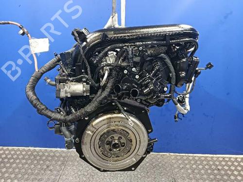 Engine VW GOLF SPORTSVAN VII (AM1, AN1)  | BP26564390M1 