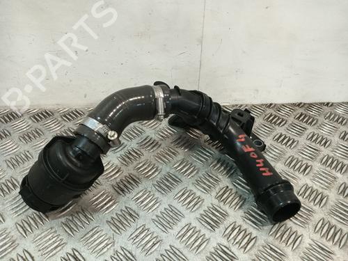 Rør Rør DACIA SANDERO II TCe 90 LPG (B8M1) (90 hp) 36888402 36888402