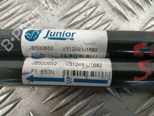 Tailgate lift support OPEL ZAFIRA / ZAFIRA FAMILY B (A05) 1.9 CDTI (M75) | BP29479730C138 