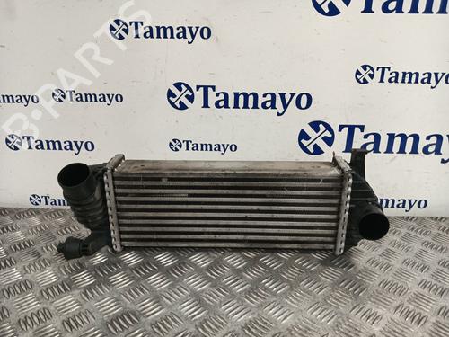 Intercooler RENAULT KANGOO / GRAND KANGOO II (KW0/1_) 1.5 dCi 85 (KW0K, KW0L, KW0B) (86 hp) 31165067