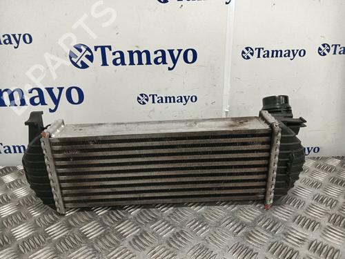 Intercooler RENAULT KANGOO Express (FW0/1_) 1.5 dCi 75 (FW07, FW10, FW04) | BP30396656M30