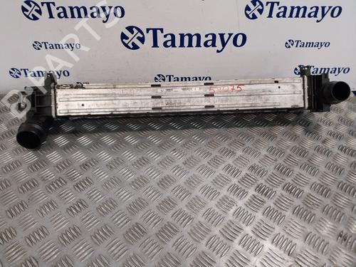 Intercooler RENAULT GRAND SCÉNIC III (JZ0/1_)  | BP27672519M30 