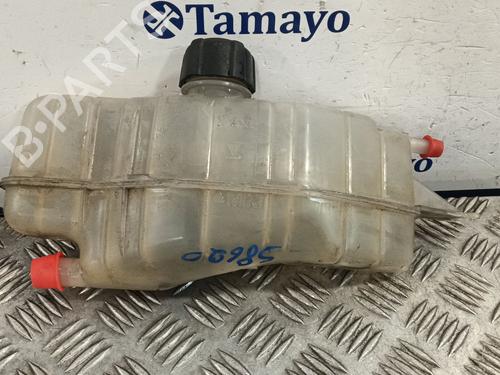 Used Expansion tank RENAULT CLIO III (BR0/1, CR0/1) [2005-2014]  29475656