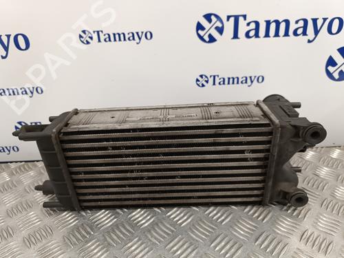Intercooler CITROËN C5 III (RD_) 1.6 HDi 110 (RD9HZC) | BP15516197M30 