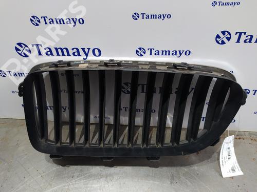 Grille BMW 5 (E60) 525 d | BP9553131C40 