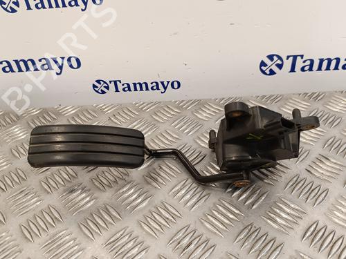 Pedal RENAULT CLIO III (BR0/1, CR0/1) 1.5 dCi (BR0H, CR0H, CR1S, BR1S) | BP17019924I4 