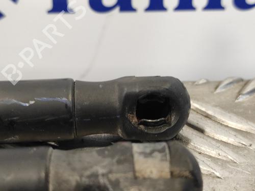 Tailgate lift support FORD FIESTA VI (CB1, CCN) 1.25 | BP14359317C138 