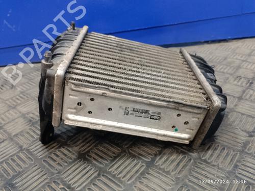 Intercooler VW POLO IV (9N_, 9A_) 1.4 TDI | BP19663728M30 