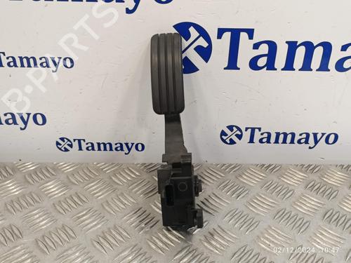 Used Pedal RENAULT MEGANE III Hatchback (BZ0/1_, B3_) [2008-2025]  21690444