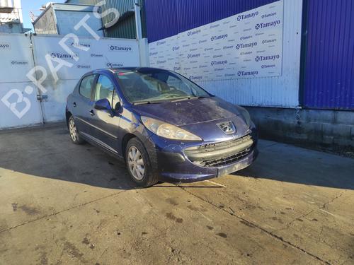 Fuel pump PEUGEOT 207 (WA_, WC_)  | BP22335928M76 