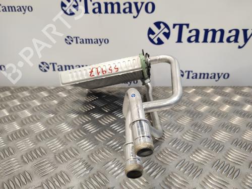 Heater matrix CUPRA FORMENTOR (KM7, KMP) | BP15682224M63