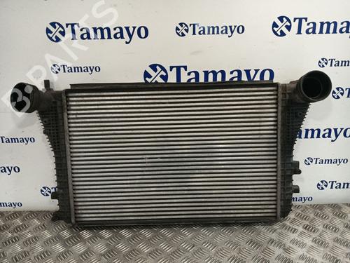 Used Intercooler VW GOLF PLUS V (5M1, 521) 2.0 TDI 16V (140 hp) 30598384