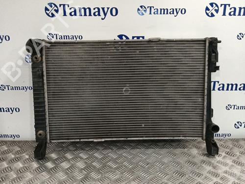 Køler MERCEDES-BENZ A-CLASS (W169) [2004-2012]  30599706